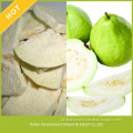 Cheap Hot Sale Freeze Dried Fruit Guava